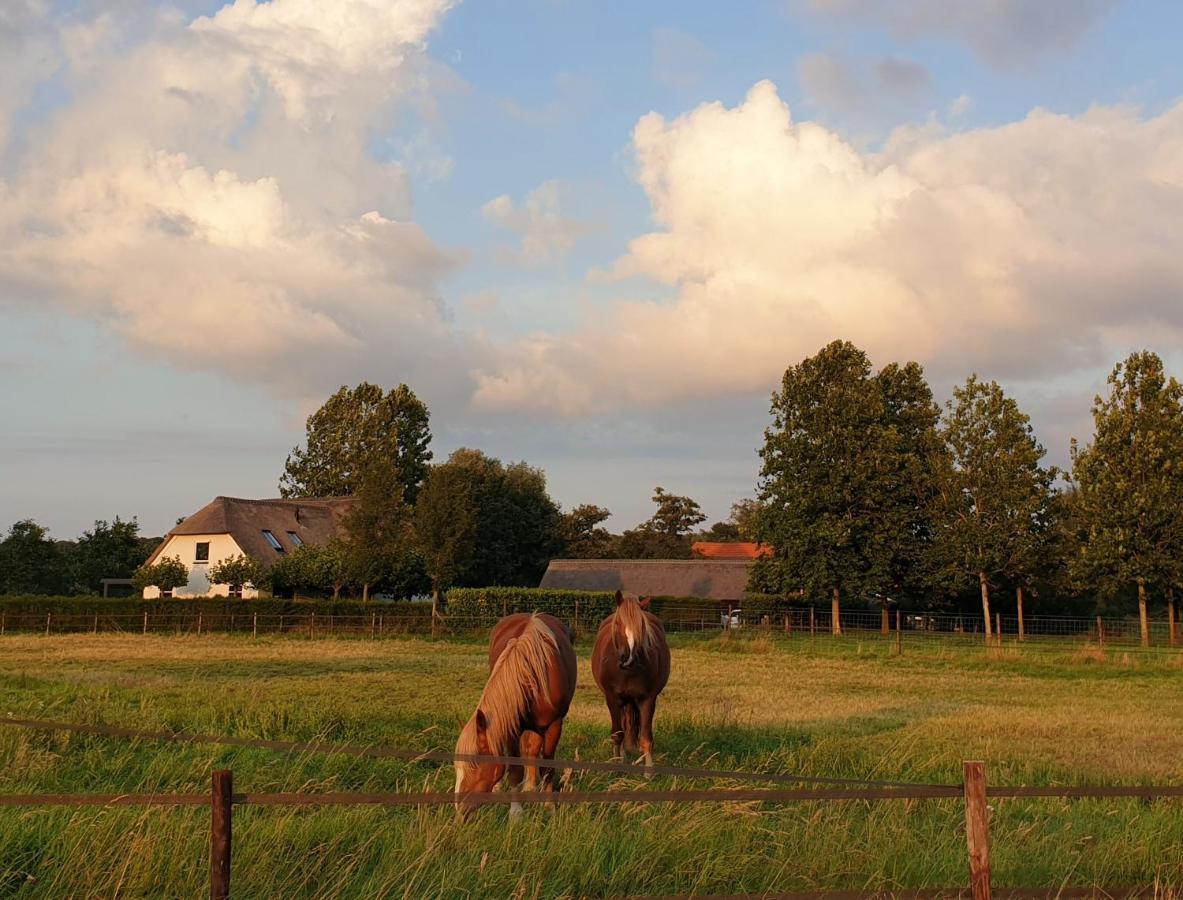 B&B De Scherpenhof Leur Экстерьер фото
